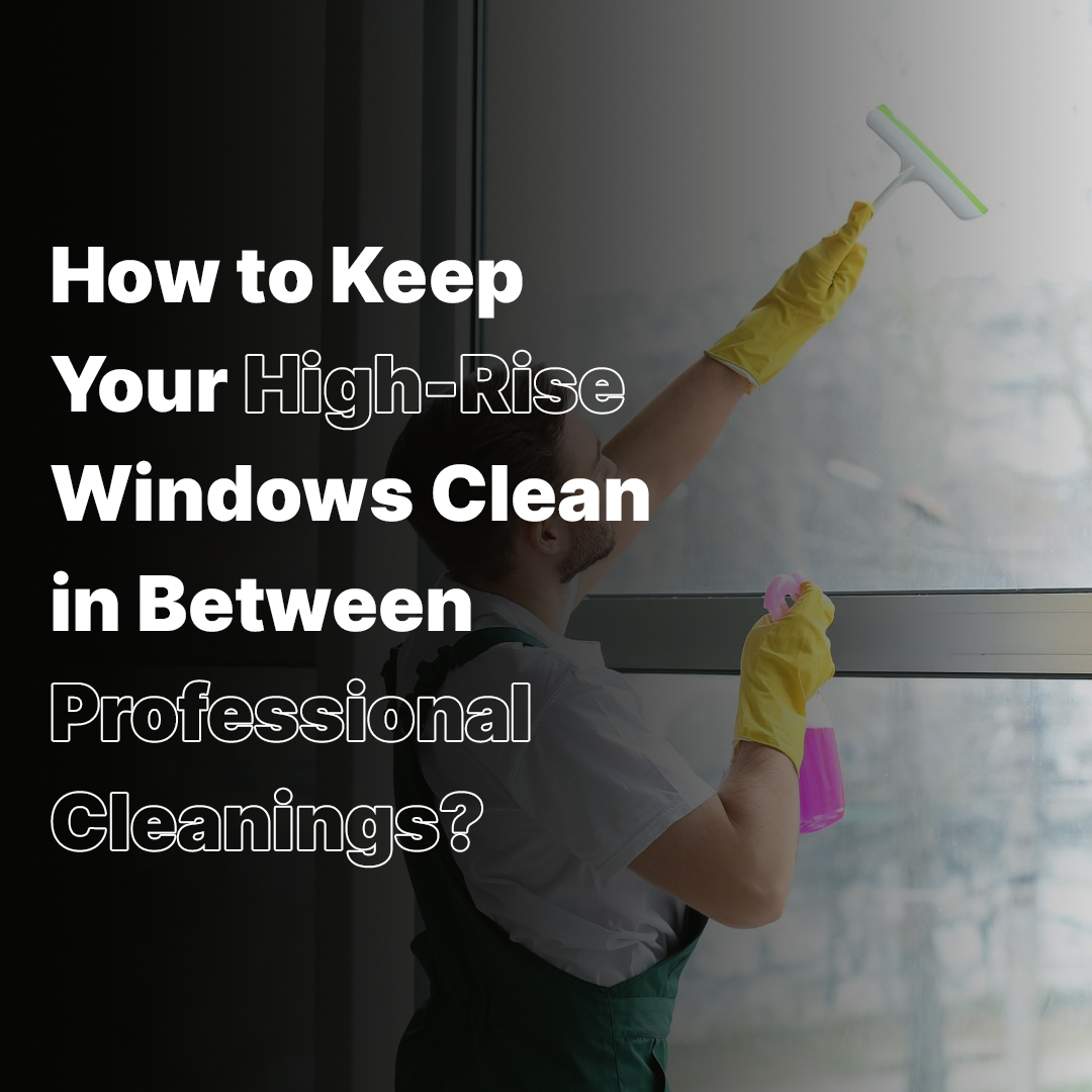 How to Keep Your High-Rise Windows Clean in Between Professional Cleanings?