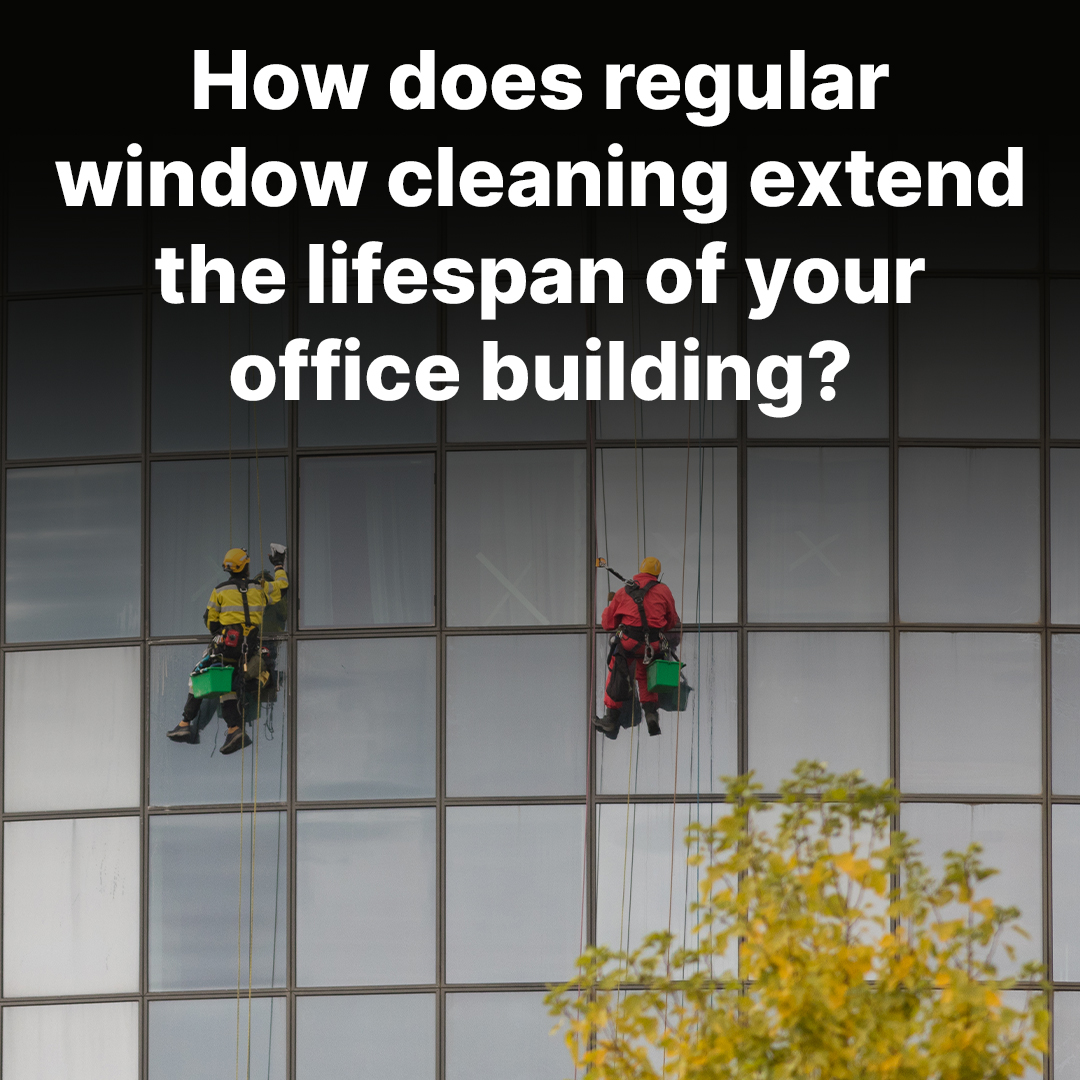 How does regular window cleaning extend the lifespan of your office building?